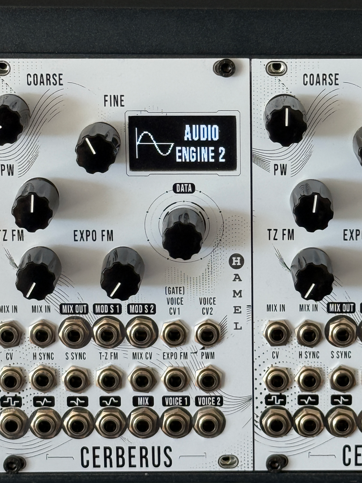 Cerberus - Full Hybrid Analogue / Digital Voice
